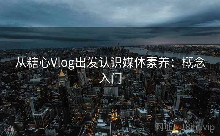 从糖心Vlog出发认识媒体素养：概念入门
