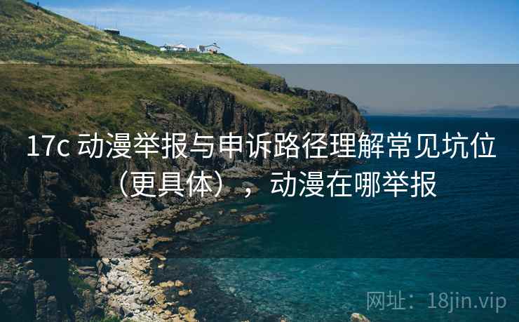 17c 动漫举报与申诉路径理解常见坑位（更具体），动漫在哪举报