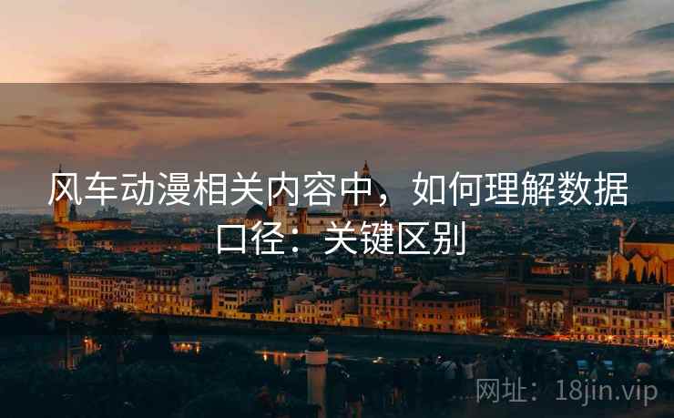 风车动漫相关内容中，如何理解数据口径：关键区别