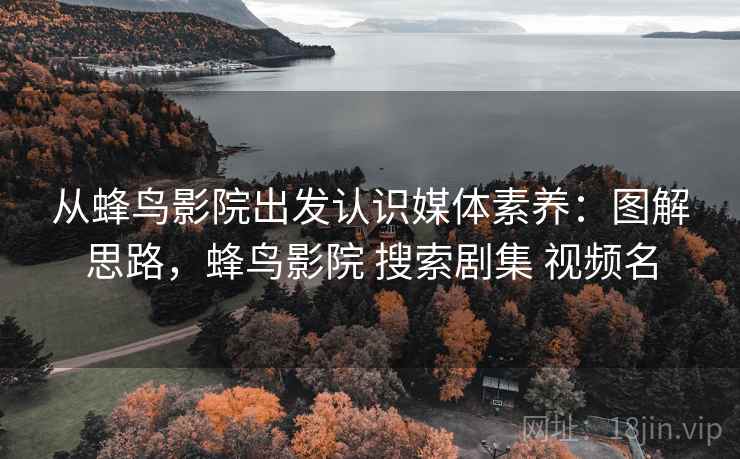 从蜂鸟影院出发认识媒体素养：图解思路，蜂鸟影院 搜索剧集 视频名
