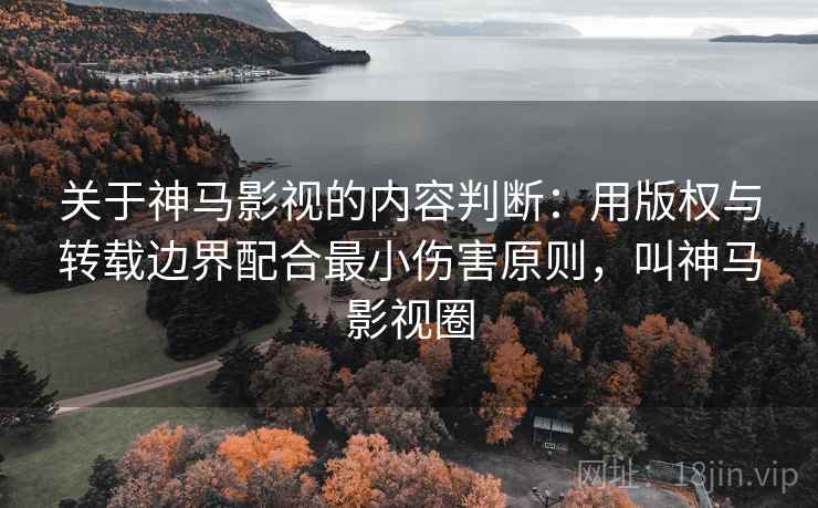关于神马影视的内容判断：用版权与转载边界配合最小伤害原则，叫神马影视圈