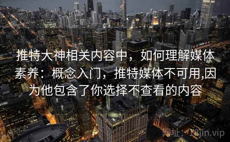 推特大神相关内容中，如何理解媒体素养：概念入门，推特媒体不可用,因为他包含了你选择不查看的内容